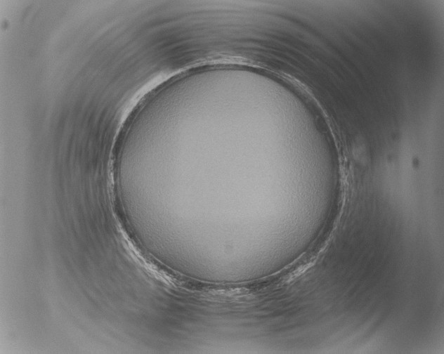 X0000051241133200507152116