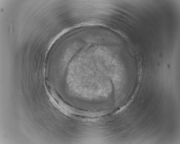 X0000051241134200507152116