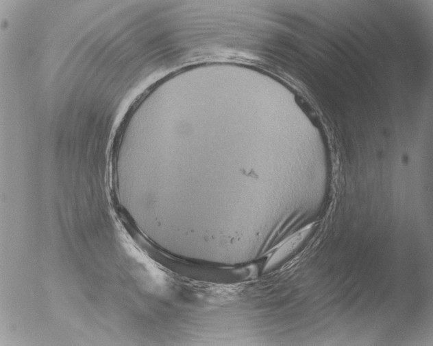 X0000051241136200507152116