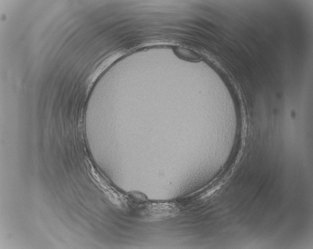 X0000051241137200507152116