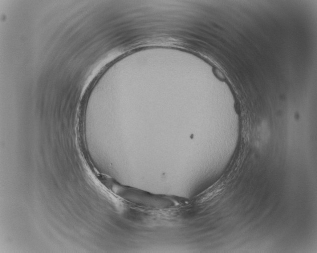 X0000051241139200507152116