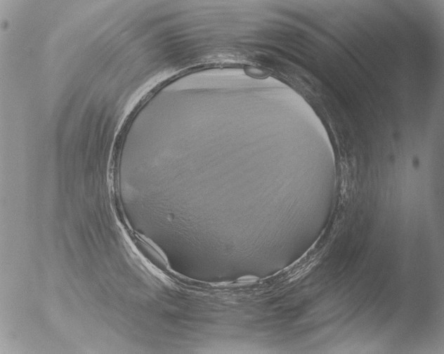 X0000051241141200507152117