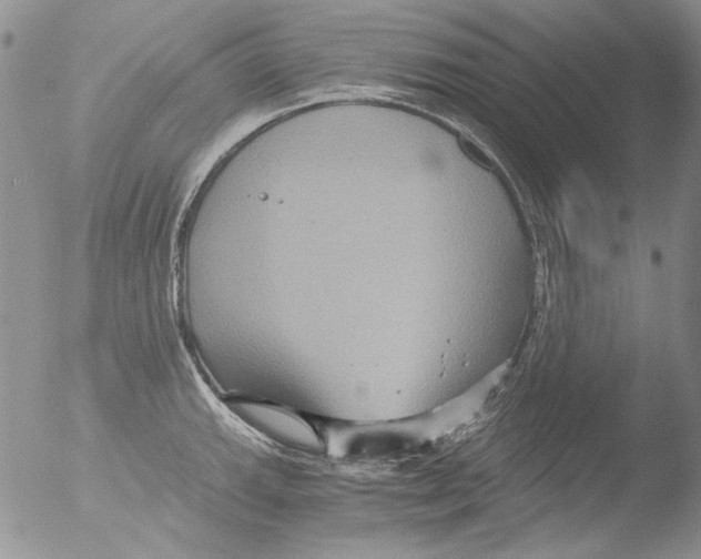 X0000051241143200507152117