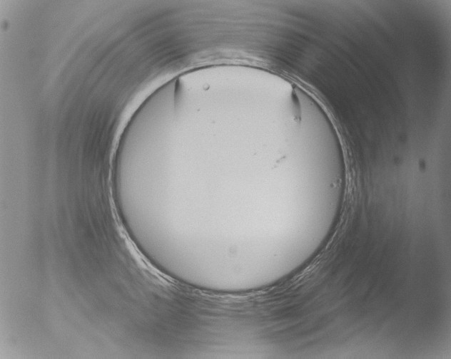 X0000051241144200507152117