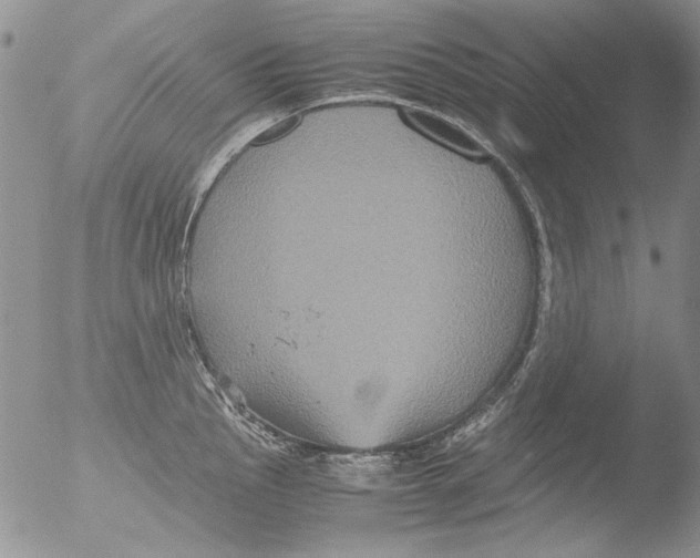 X0000051241145200507152117