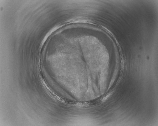 X0000051241146200507152117