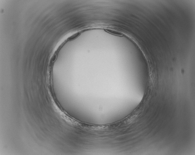 X0000051241147200507152117