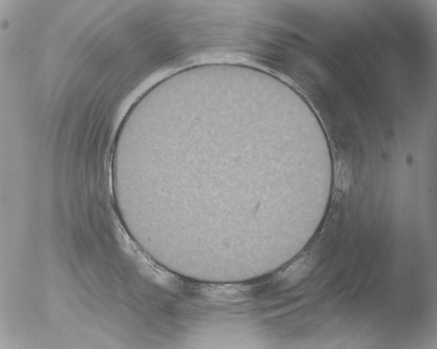 X0000051241150200507152117