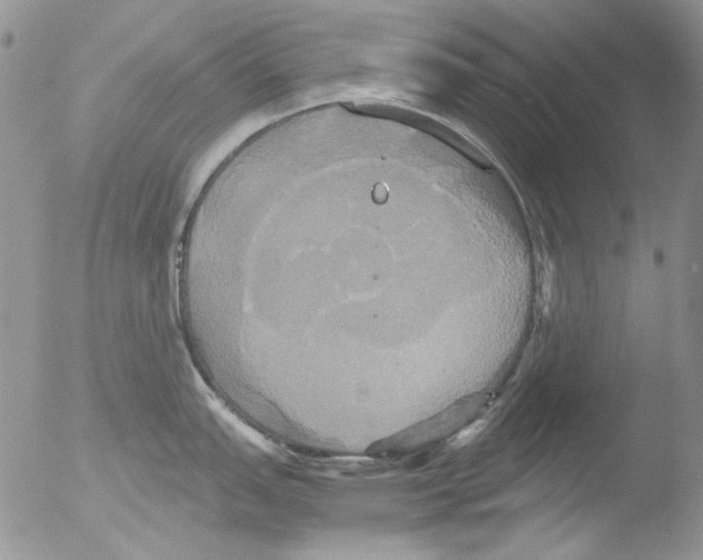 X0000051241151200507152117