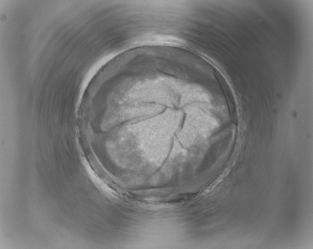 X0000051241152200507152117