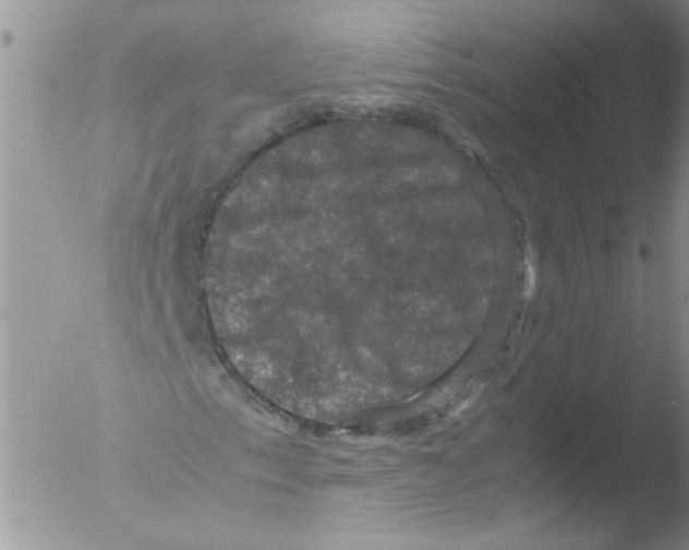 X0000051241153200507152116