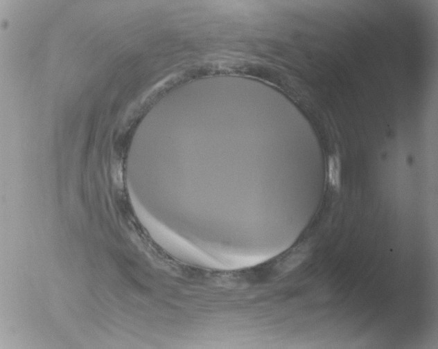 X0000051241155200507152116