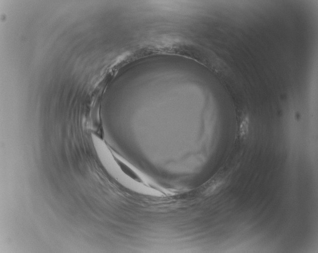 X0000051241156200507152116