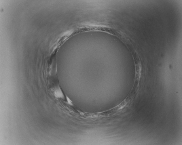 X0000051241157200507152116