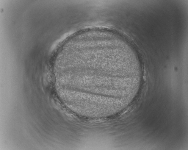 X0000051241159200507152116