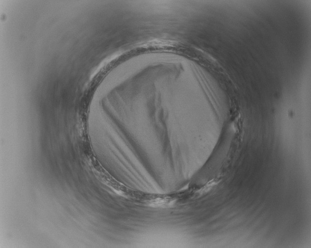 X0000051241160200507152116