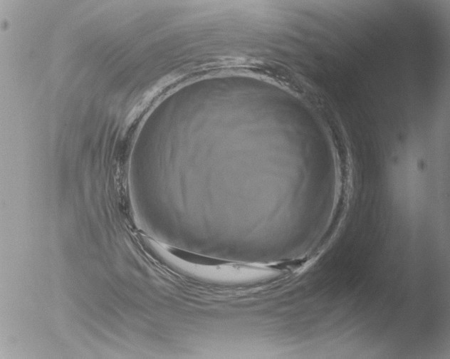 X0000051241161200507152116