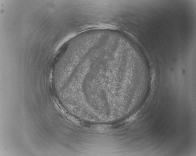 X0000051241163200507152116