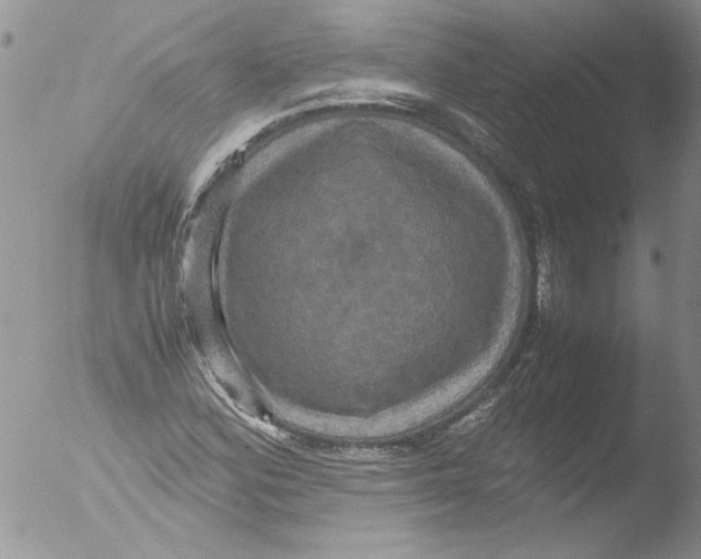 X0000051241164200507152116