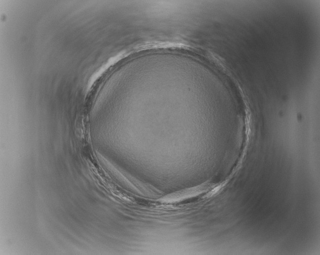 X0000051241165200507152116