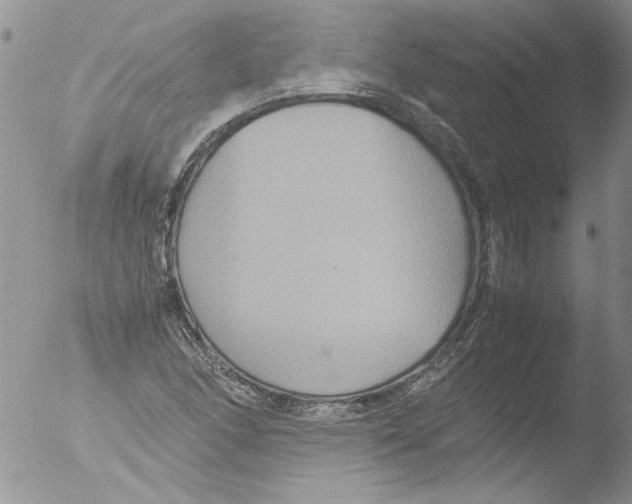 X0000051241166200507152116