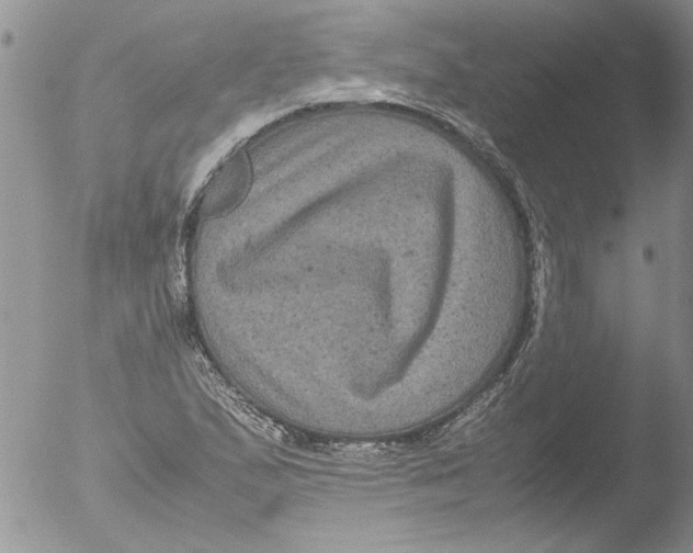 X0000051241167200507152116