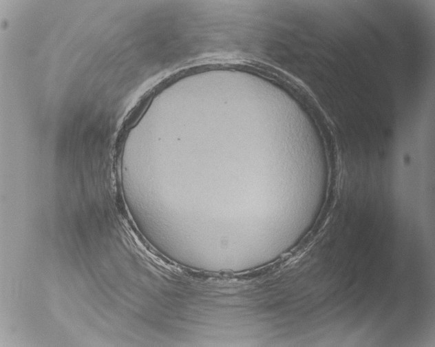 X0000051241168200507152116