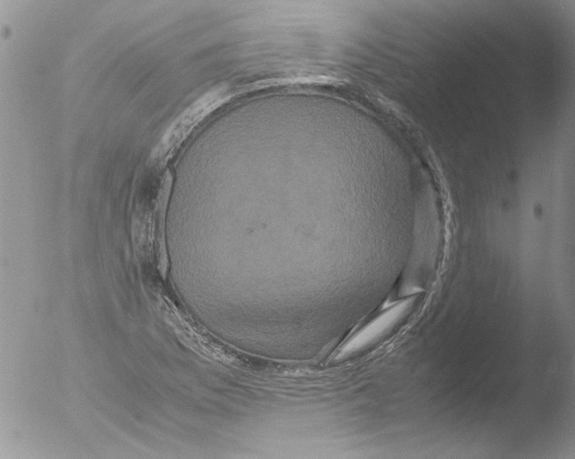 X0000051241169200507152116