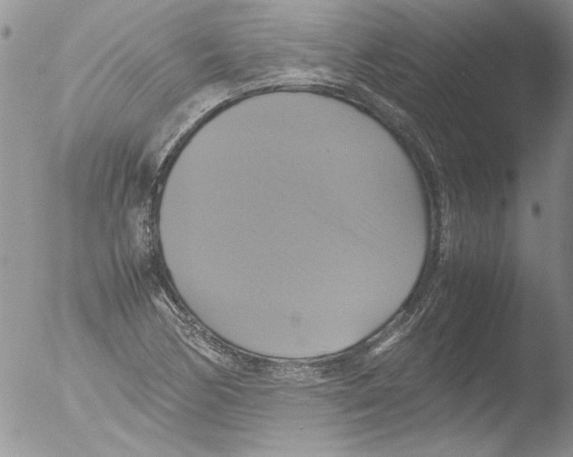 X0000051241170200507152116