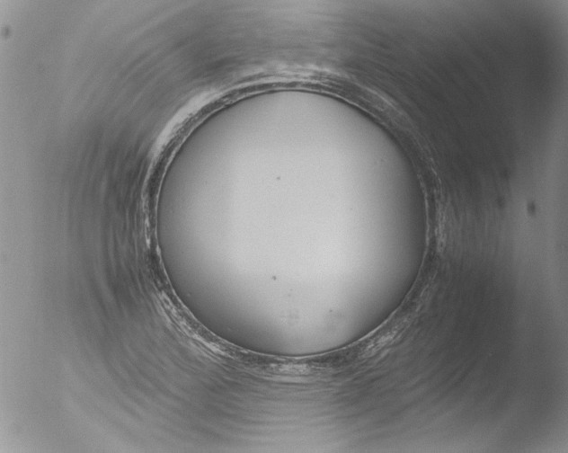 X0000051241172200507152116