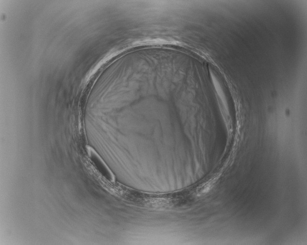 X0000051241173200507152116