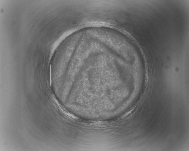 X0000051241175200507152115