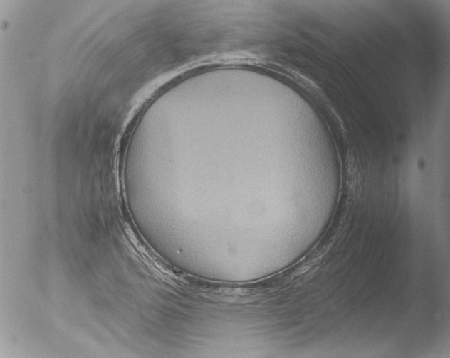 X0000051241176200507152115