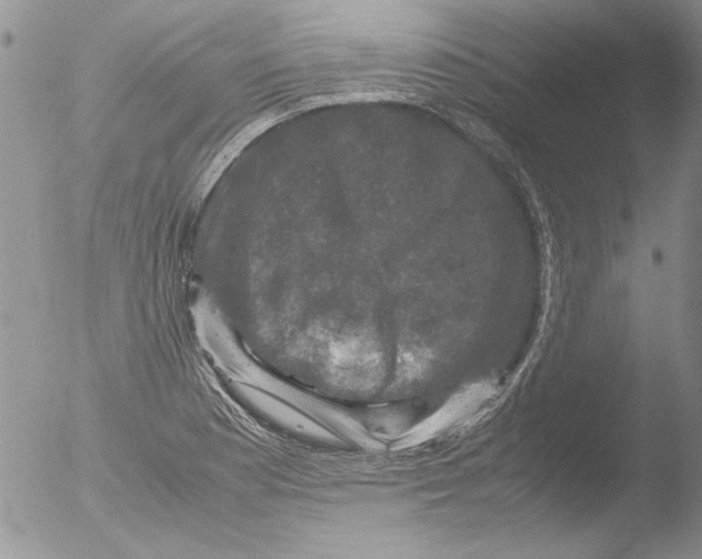 X0000051241177200507152115