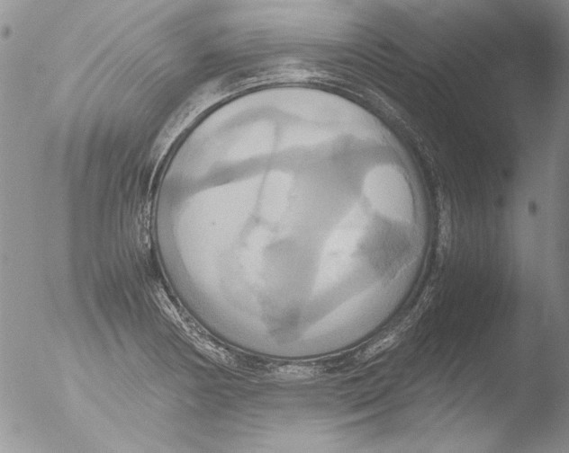 X0000051241178200507152115