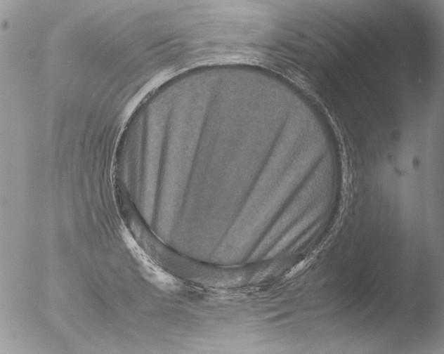 X0000051241181200507152115