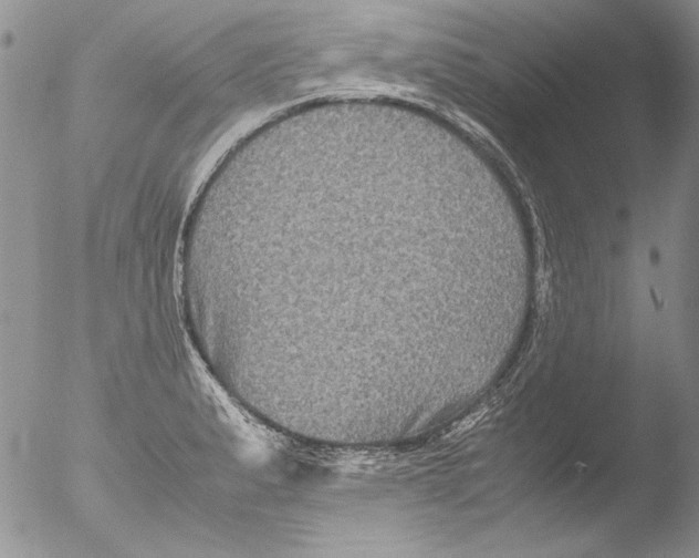 X0000051241183200507152115