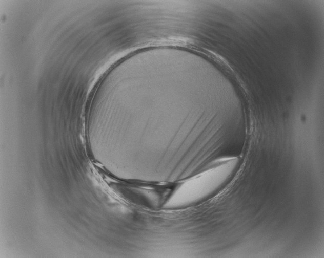 X0000051241184200507152115