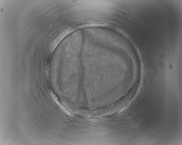 X0000051241185200507152115