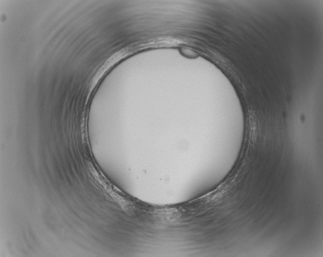 X0000051241186200507152115