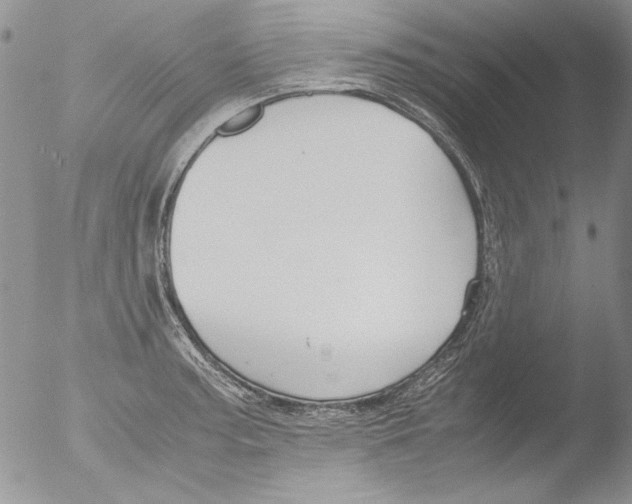 X0000051241187200507152115