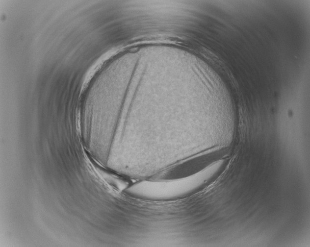 X0000051241188200507152115