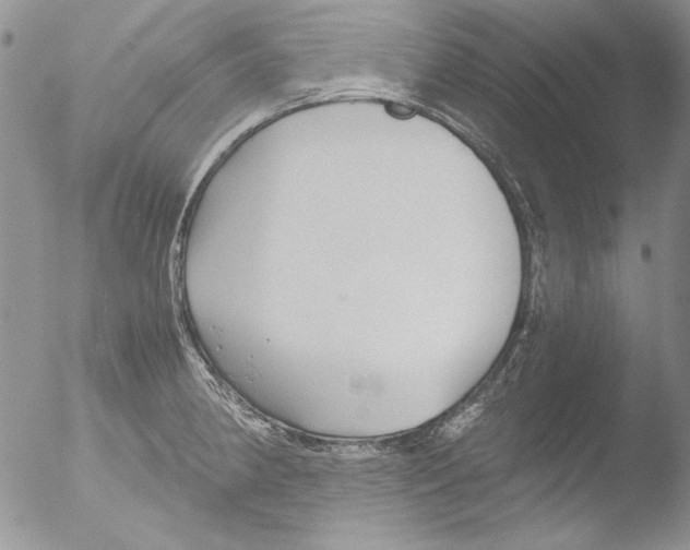 X0000051241190200507152115