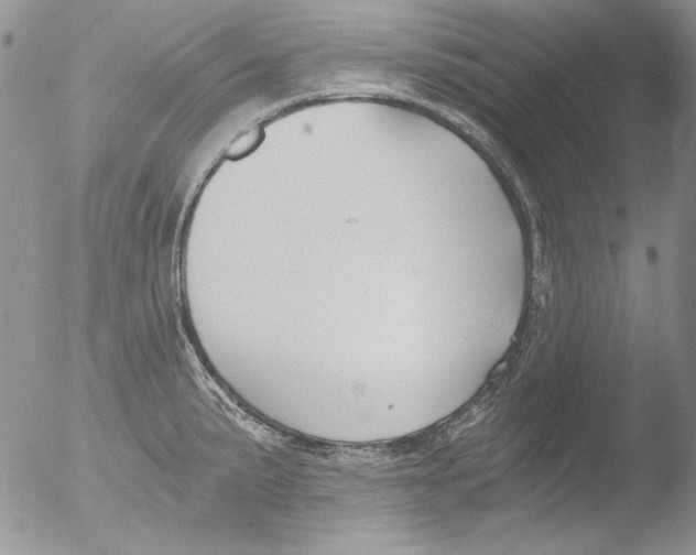 X0000051241191200507152115