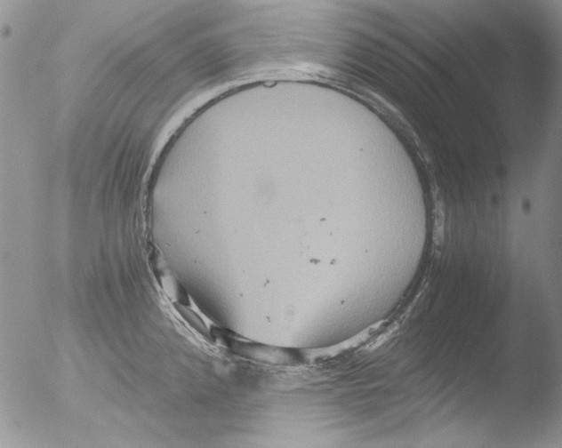 X0000051241192200507152115