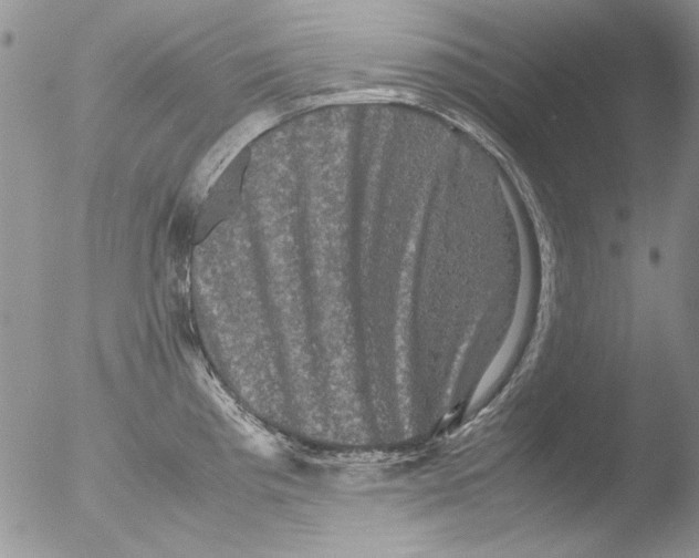 X0000051241193200507152115