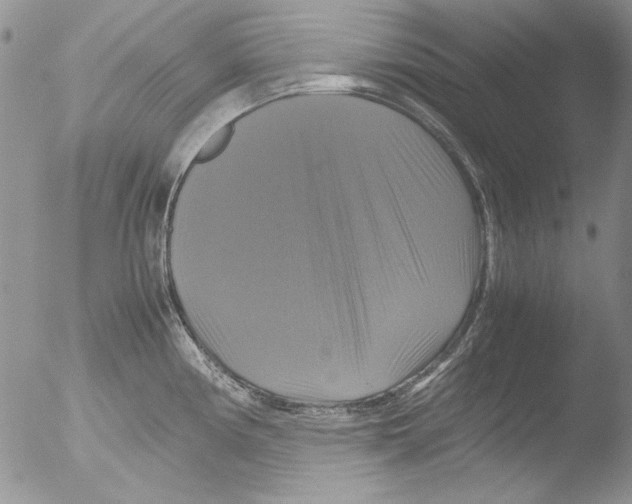 X0000051241194200507152115