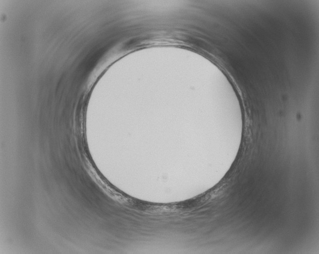 X0000051241195200507152115