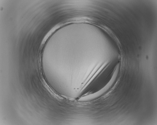 X0000051241196200507152115