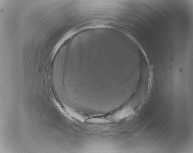 X0000051241197200507152115